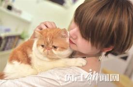 甜城有个“猫咪咖啡馆”